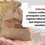 5928_informes-2
