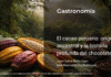 El cacao peruano: origen ancestral y la historia profunda del chocolate